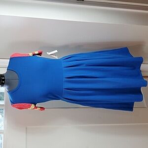 LuLaRue Amelia dress - XL